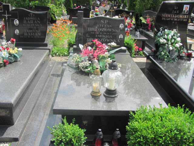 Grób Jadwiga Brzozowska