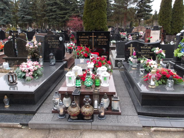 Grób Dominika Żarłok