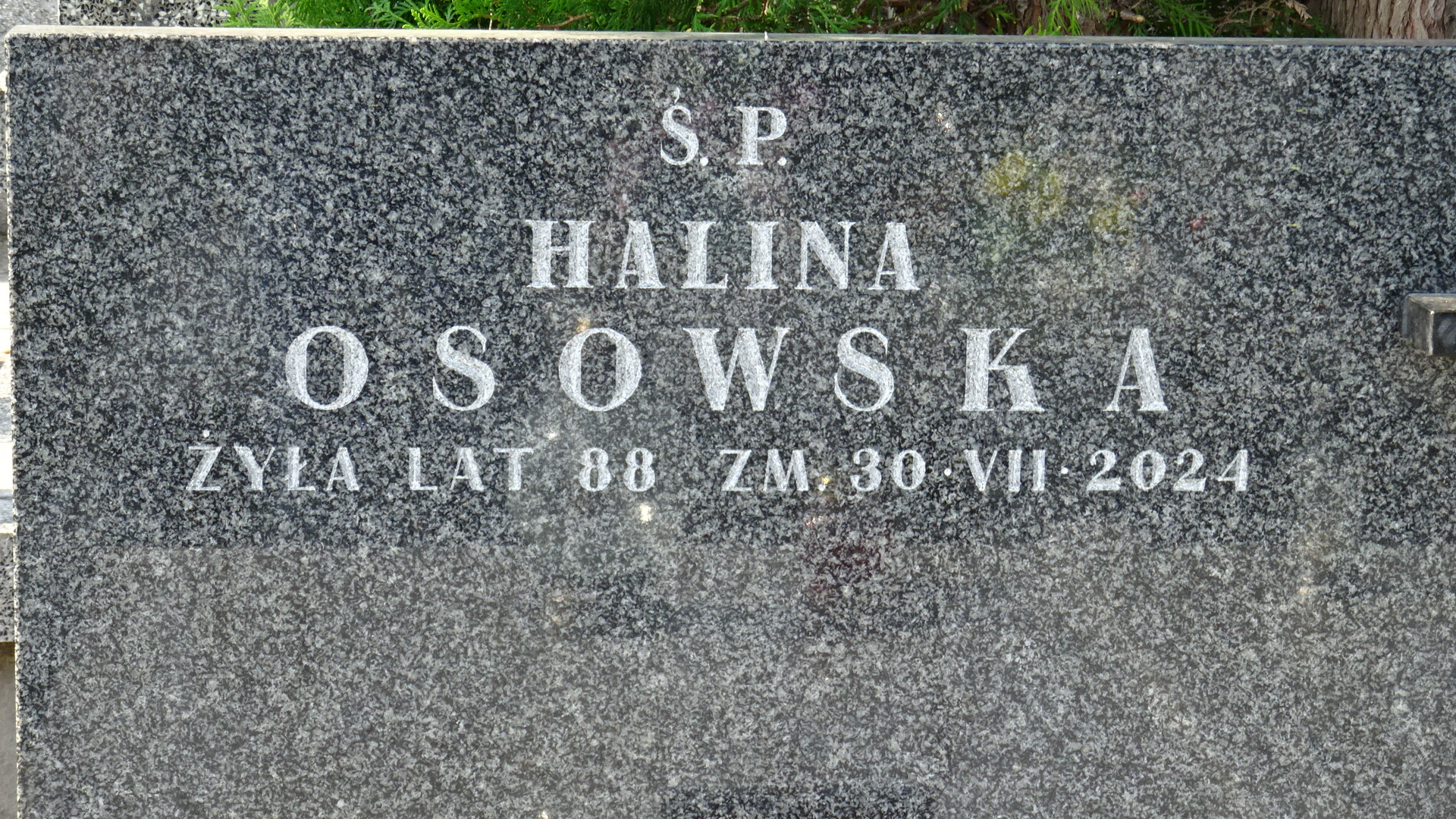 Zdjęcie grobu