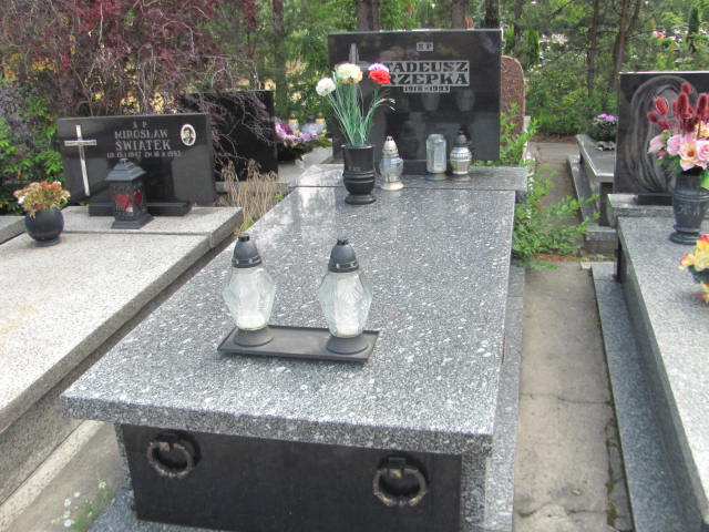 Grób Henryka Rzepka