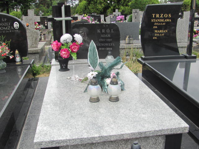 Grób Genowefa Król