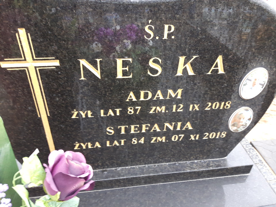 Grób Stefania Neska