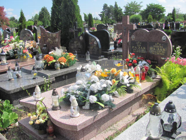 Grób Albert Rafał Pająk