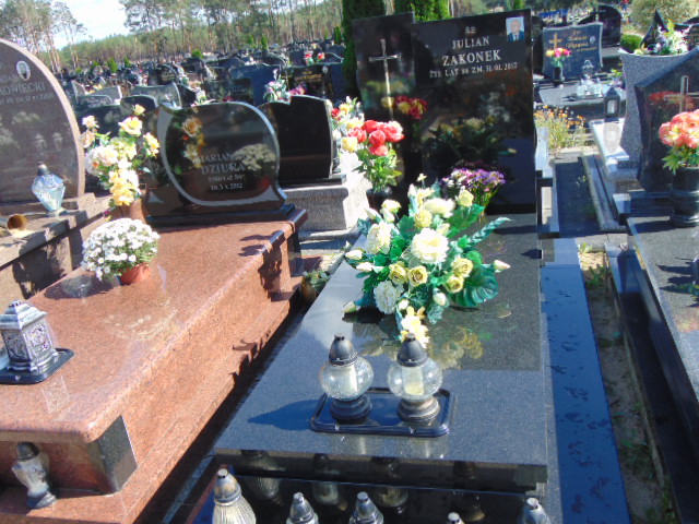 Grób Julian Zakonek