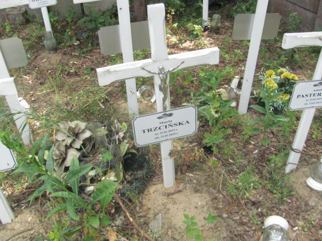 Grób Maria Trzcińska